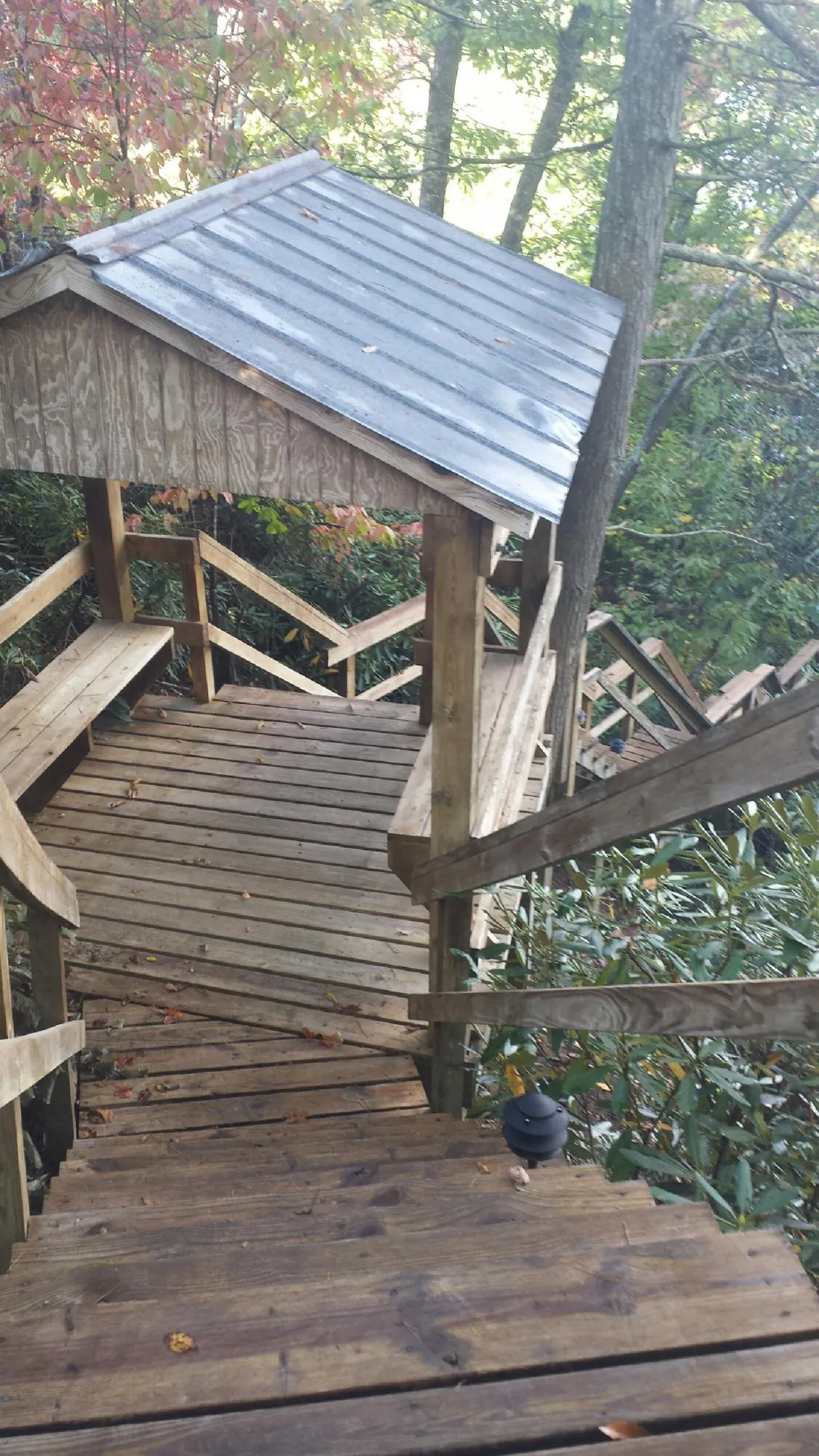 Metal roofed shelter over wooden steps on a wooded walkway — Skylight Repair & Installation work by our crew in Vergas